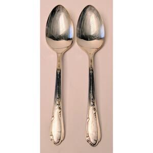 Vtg Wm A Rogers A1 Plus Oneida Ltd MEADOWBROOK HEATHER 2 Teaspoons Silverplate
